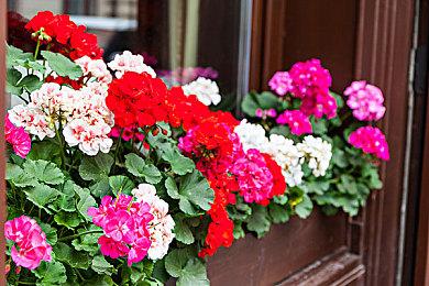 《星之海洋6：神圣力量》试玩体验版将于下周发布